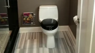 Bathroom renovation after image showing toilet and shower door