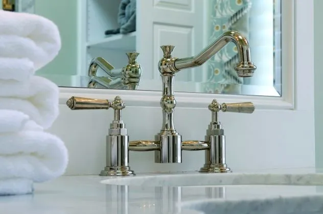 Carlisle Traditional Bathroom silver bathroom sink faucet
