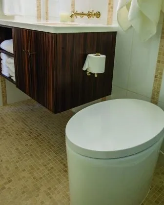 Toilet: Kohler Purist Hatbox